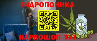 гашик Гусев