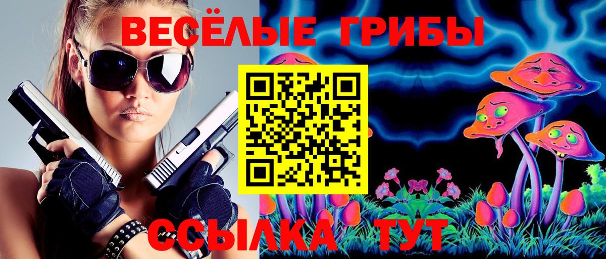 Галлюциногенные грибы Cubensis  Вход с VPN  Михайловка 