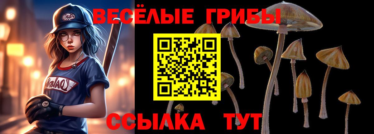 Галлюциногенные грибы Psilocybine cubensis Михайловка